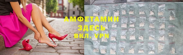 молекула духа Карпинск