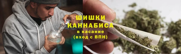 дмт Инта