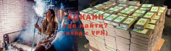 дмт Инта